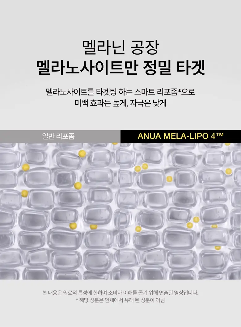 Product image 100