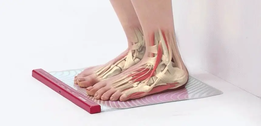 Product image 54